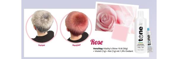 Haarfarbe Rose: Vitality Tone Anwendungs Tipp