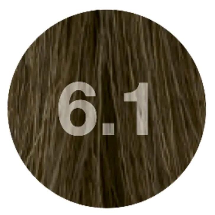 Nouvelle Color Effective 6.1 dunkelblond asch 60ml