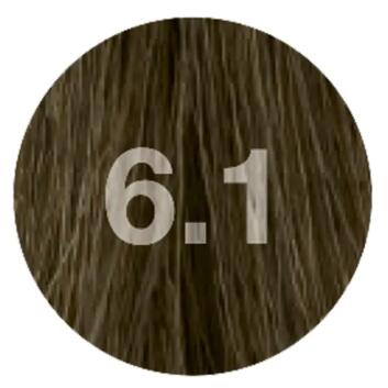 Nouvelle Color Effective 6.1 dunkelblond asch 60ml