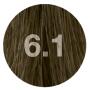 Nouvelle Color Effective 6.1 dunkelblond asch 60ml