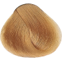 Alfaparf Milano Evolution of the Color 10.3 60ml intensives Hellblond Gold